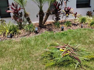 Weeding by Derek Washington for Ken H. in Clearwater, FL