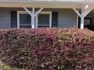 Cleanups by Tim Hayes for Clarence S. in Stockbridge, GA