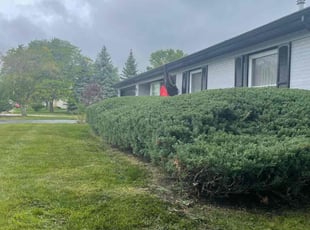 Bush Trimming by Jesus Guerra for Kristian M. in Lake Zurich, IL