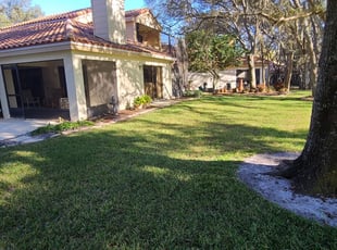 Leaf Removal by Nicholas Faust for Marge N. in Winter Springs, FL