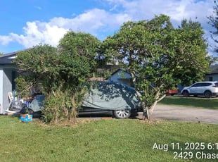 Yolanda B.'s Bush Trimming service result