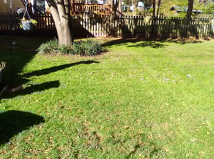 Leaf Removal by Arthur Haskins for Suzanne H. in Richmond, VA