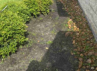 Weeding by Felix Botello for Leonard . in Humble, TX