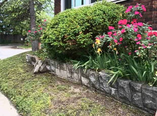 Weeding by Caleb Patton for John L. in Cincinnati, OH