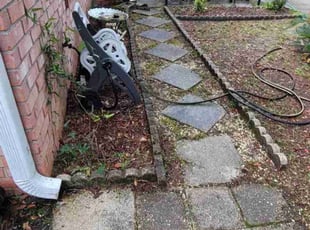 Gary M.'s Leaf Removal service result