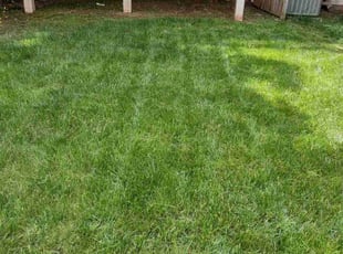 Gary S.'s Lawn Service service result