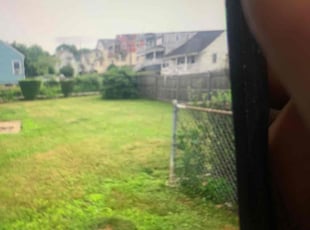 Bush Trimming by Timothy Smith for Iris J. in Waterbury, CT