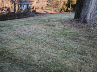 Leaf Removal by Caleb Patton for Rachael S. in Cincinnati, OH