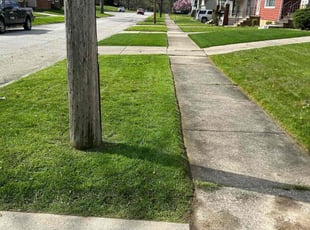 Laverne M.'s Lawn Mowing service result