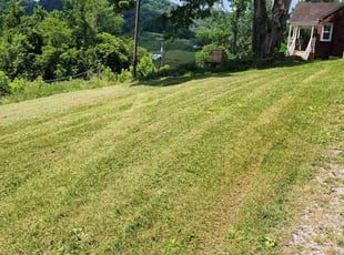 Angelle L.'s Lawn Mowing service result