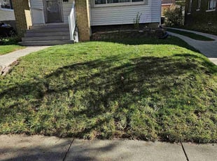 Leaf Removal by Robert Dowdy for Christine W. in Wauwatosa, WI