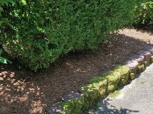 Landscaping by Danielle Patterson for Hannah C. in Virginia Beach, VA