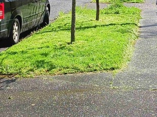 Cleanups by Brandon Hill for Stephanie P. in Portland, OR