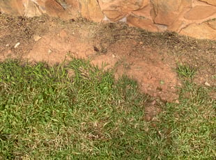 Weeding by David Nuckolls for Tina J. in Stockbridge, GA