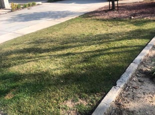 Tisha R.'s Lawn Service service result