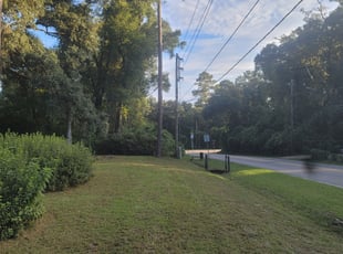 Cleanups by Shelton Brown for Cynthia H. in Tallahassee, FL
