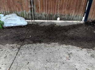 Leaf Removal by Desean Bennett for Jennifer C. in Washington, DC