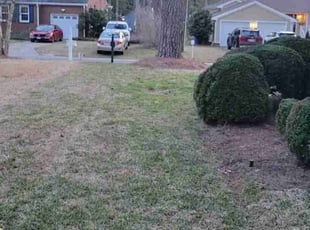 Bush Trimming by Kevin Lewis for Kyle P. in Portsmouth, VA