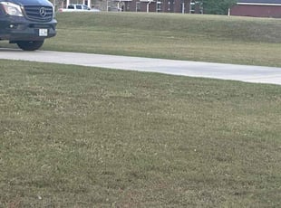 Lorraine D.'s Lawn Care service result