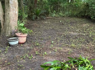 Leaf Removal by Delson Auguste for Jacob S. in Green Cove Springs, FL