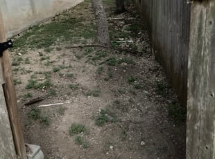Cleanups by Rebecca Ferrara for Rebecca R. in San Antonio, TX