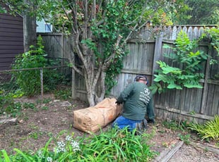 Leaf Removal by Angel P. for Alice C. in Arlington, VA