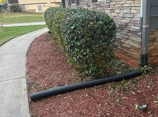 Bush Trimming by Tramel Gore for Charlotte w. in McDonough, GA