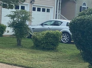 Judith G.'s Bush Trimming service result
