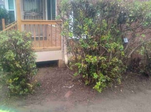 Leaf Removal by Virgil Greene for Brooklyn C. in Atlanta, GA