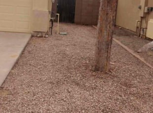 Leaf Removal by Sergio Laurean for Jody S. in Mesa, AZ