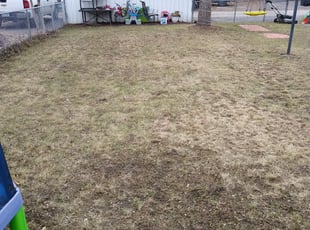 Leaf Removal by Richard Kidman for Hurio J. in Minneapolis, MN