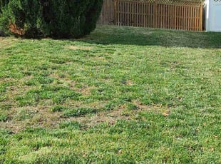 Leaf Removal by Jose Gonzalez for Tanika B. in Waldorf, MD