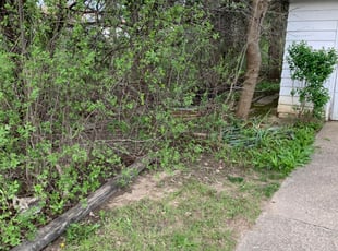 Cleanups by Marcus Williams for Roderick V. in Maple Heights, OH