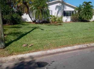 Debra M.'s Lawn Maintenance service result