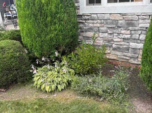 Bush Trimming by Demetrius Richardson for Karen B. in Streetsboro, OH