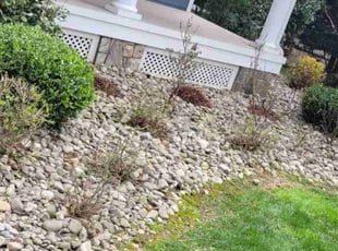 Weeding by Jose Gonzalez for David P. in Vienna, VA