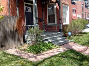Cleanups by Tom Davis for Molly H. in Denver, CO