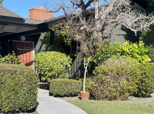 Bush Trimming by Bernardo Arroyo for Alexis B. in Los Alamitos, CA