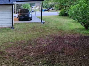 Cleanups by Willie P for Ronald G. in Conyers, GA