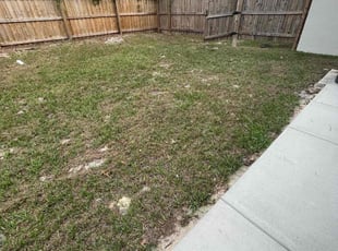 Cleanups by Ethan Perry for Jomarie M. in Spring Hill, FL