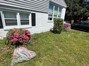 Bush Trimming by James Mozelle for Johnathan F. in Norfolk, VA