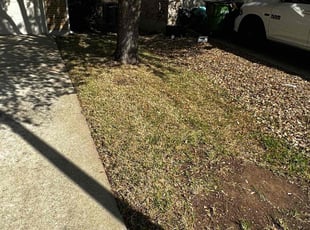 Leaf Removal by Spencer Reed for Jennifer K. in Round Rock, TX