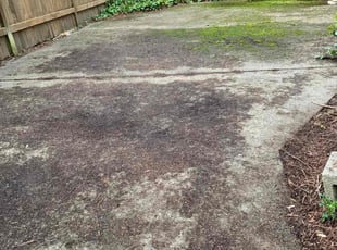 Leaf Removal by Brian Fritts for Roopesh R. in Redmond, WA