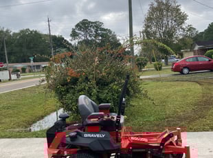 Bush Trimming by Bradly Reil for Cathy M. in Jacksonville, FL