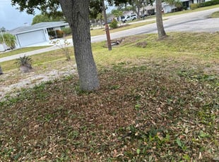 Weeding by Peterson Dariste for Maureen B. in Englewood, FL