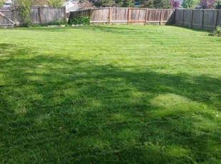 Kathy B.'s Lawn Service service result