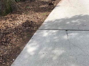 Leaf Removal by Leeandra Terry for Amber W. in Tampa, FL