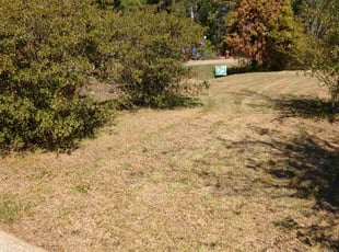 Bush Trimming by Rodney Thibodeaux for james l. in Central, LA