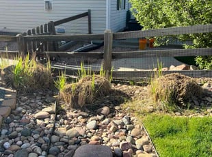 Cleanups by David Williams for Matt H. in Littleton, CO