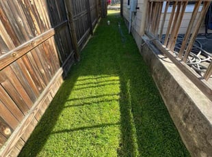 Irene A.'s Lawn Mowing Service service result